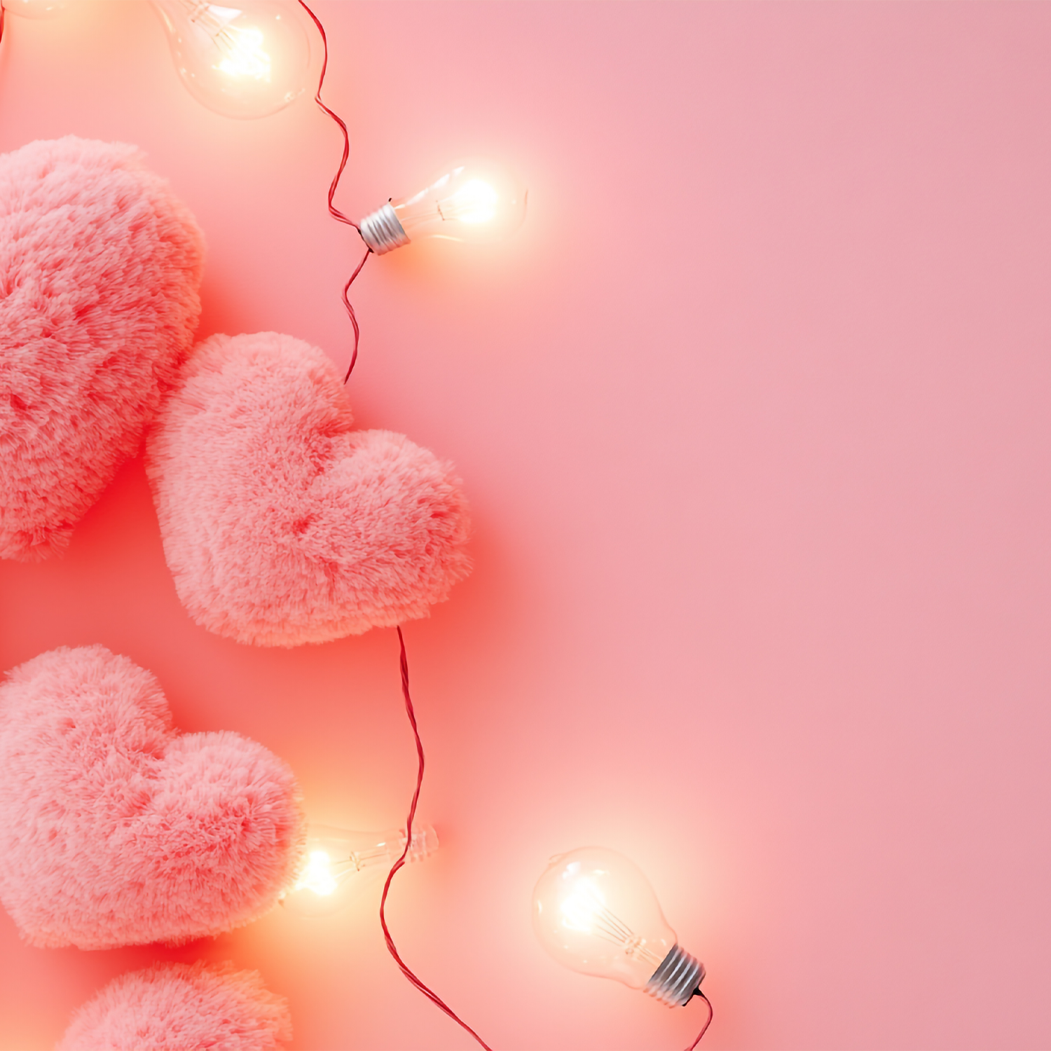 Décorations lumineuses / LED Lights