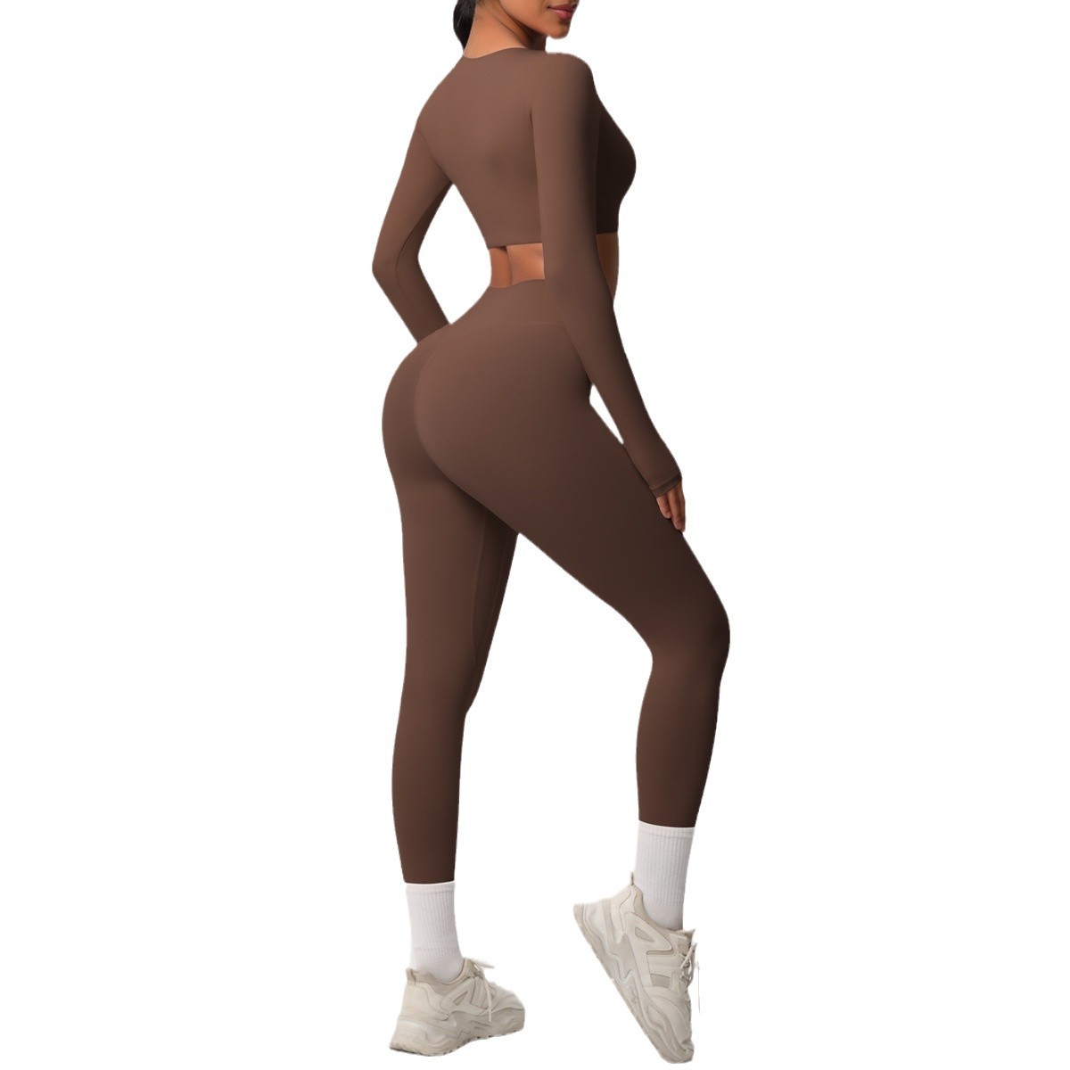 Ensemble  fitness