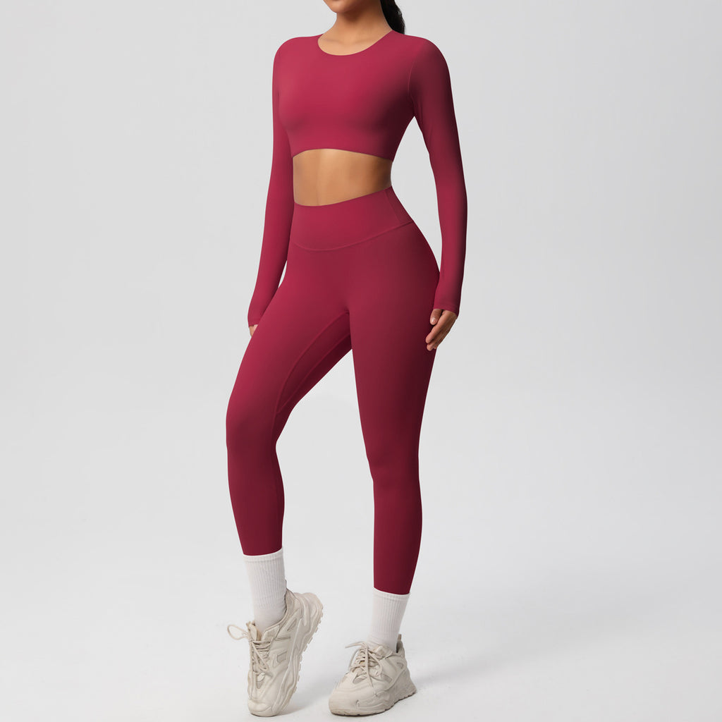 Ensemble  fitness