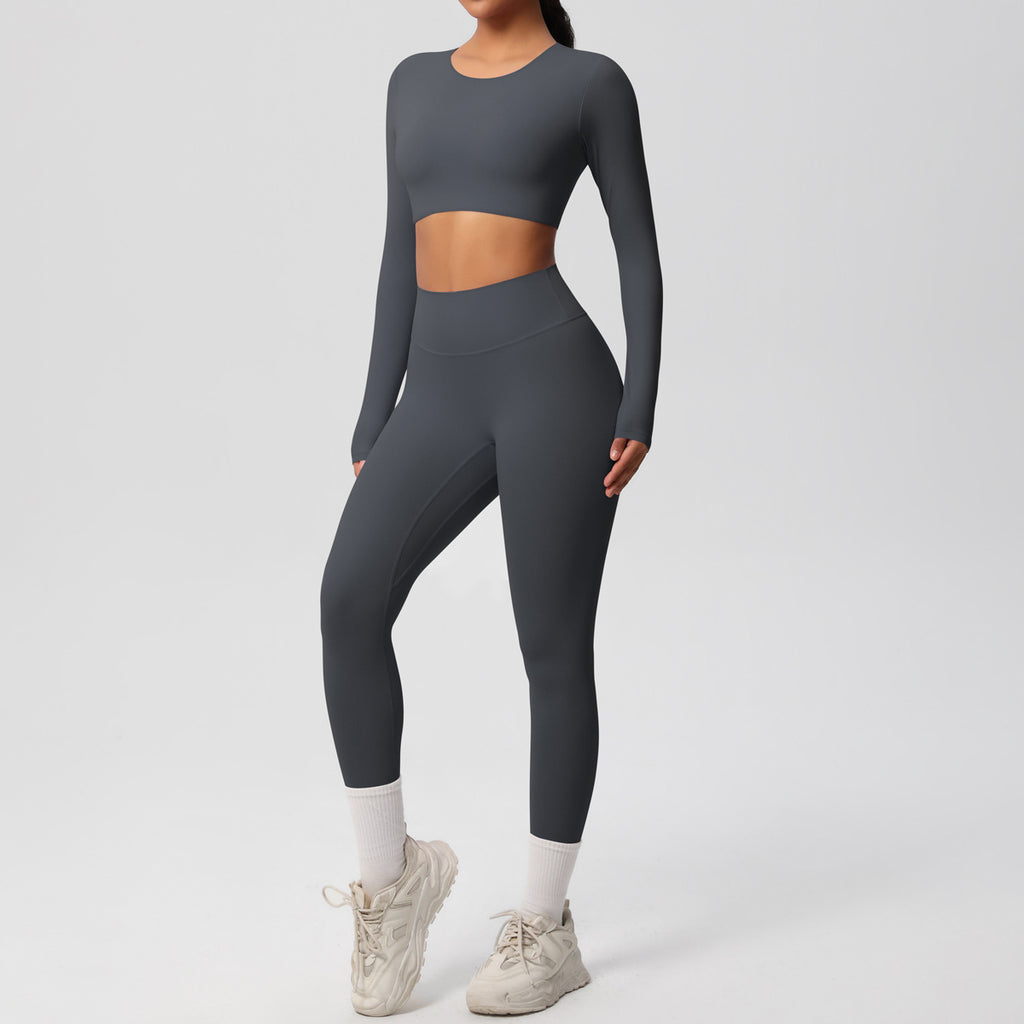 Ensemble  fitness