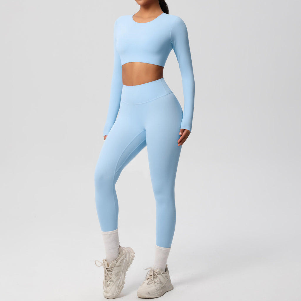 Ensemble  fitness