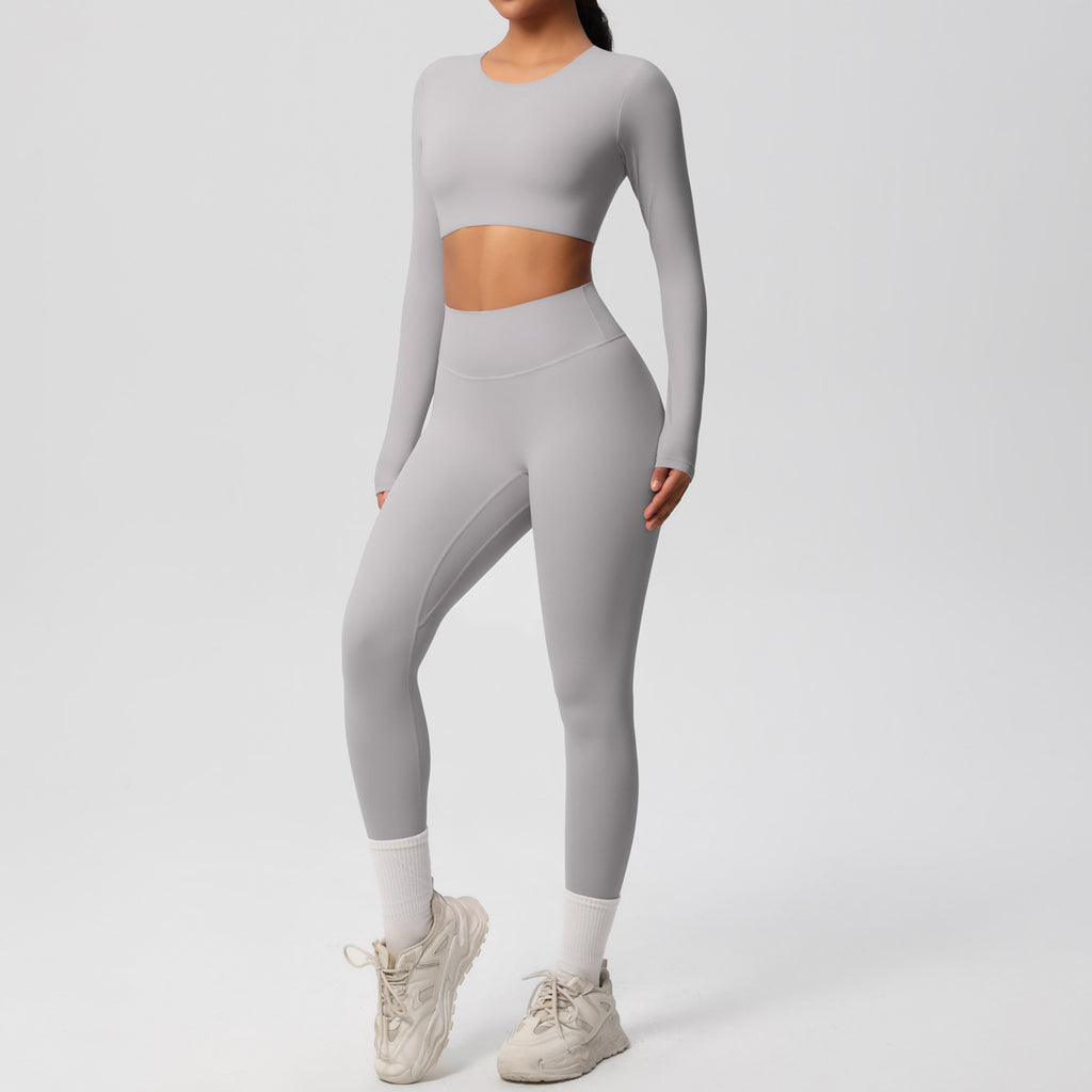 Ensemble  fitness