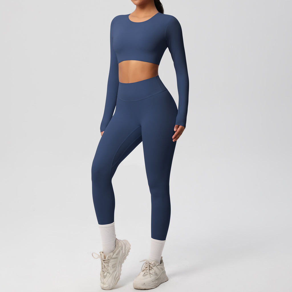 Ensemble  fitness