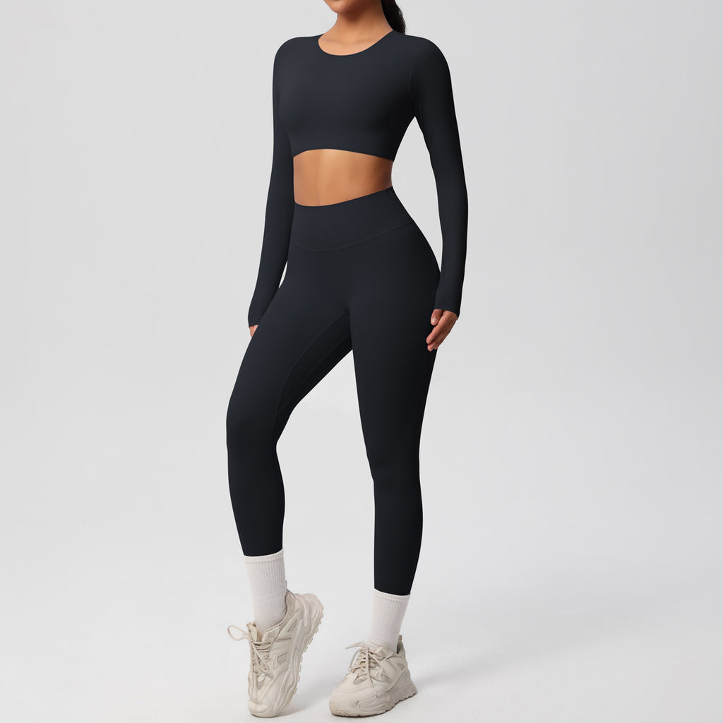 Ensemble  fitness