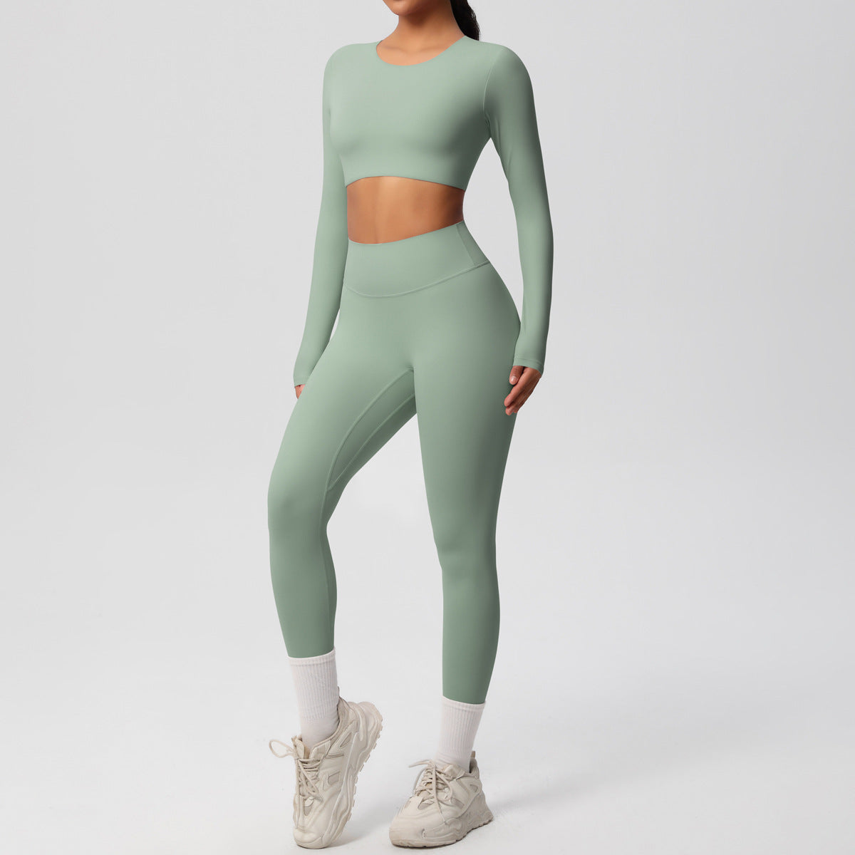 Ensemble  fitness